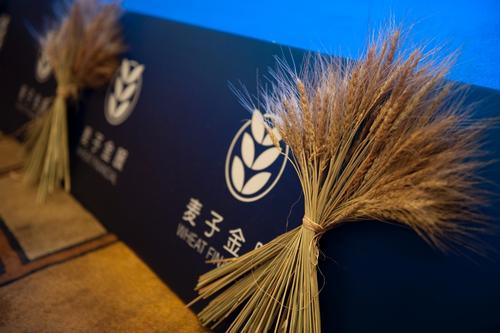 智金时代来临:麦子金服提出智能金融信息服务商理念